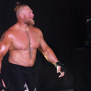 Brock Lesnar Arrested