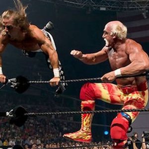 Shawn Michaels Hulk Hogan