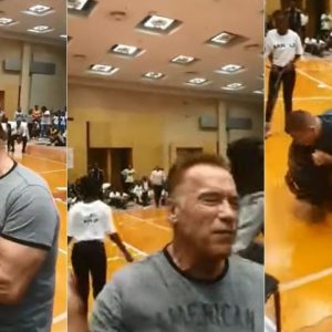 Arnold Schwarzenegger drop kicked by fan