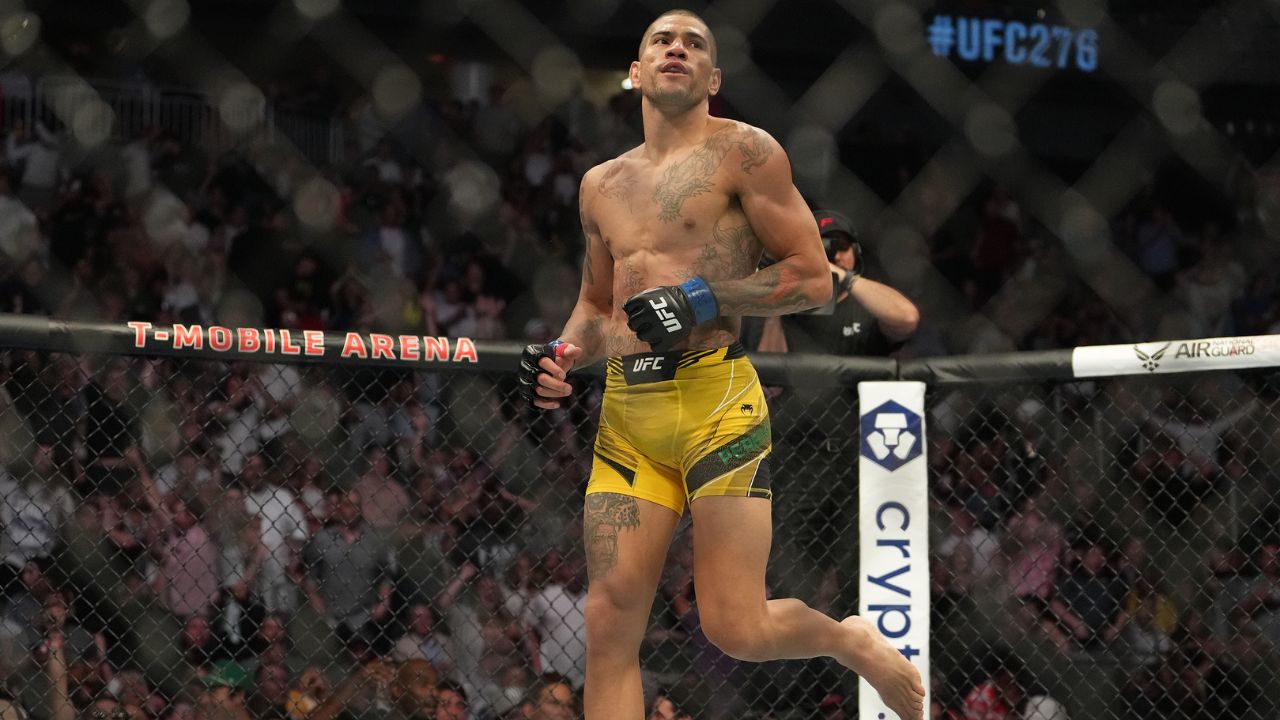 Alex Pereira MMA record