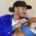Lewis Hamilton's dog Roscoe fetches package from $200 million app he invested in to welcome him home