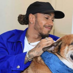 Lewis Hamilton's dog Roscoe fetches package from $200 million app he invested in to welcome him home