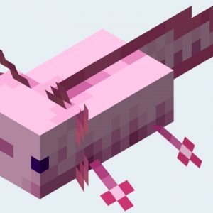 How To Minecraft: Breed Axolots and Store Them in Your Animal Farm