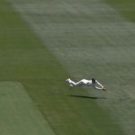 Marnus run out: Labuschagne catch today sums up terrific day on the field for Australian batter at the MCG