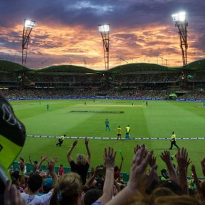 BBL tickets Sydney Showground Stadium: How to book tickets for Sydney Thunder BBL 12 home matches?