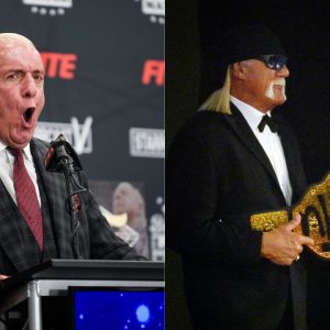 Hulk Hogan Ric Flair