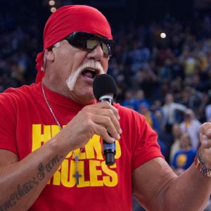 Hulk Hogan Bloodline