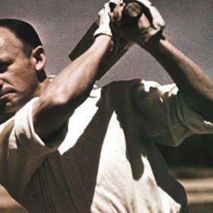 Most runs in a Test series: Most runs in 3 match Test series