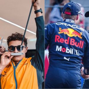 Daniel Ricciardo and Lando Norris Chose Max Verstappen Over Lewis Hamilton