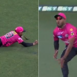 "Jordan if anyone can": Chris Jordan grabs spectacular diving catch to dismiss Tom Rogers in STA vs SIX BBL 12 match
