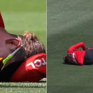 Nic Maddinson injury: Melbourne Renegades captain twists knee in BBL 12 match vs Perth Scorchers at Marvel Stadium