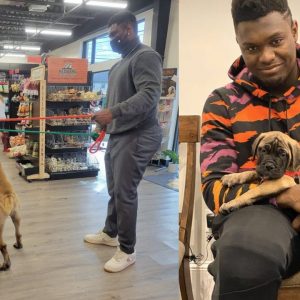 “Scar and Zanos!”: Zion Williamson Explains Reasoning Behind His Bullmastiffs’ Names