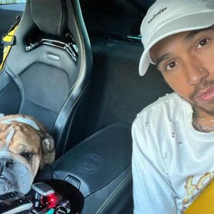 Lewis Hamilton’s Dog, With Over 725K Instagram Followers, Needs an Uber to Be Taken for a Walk