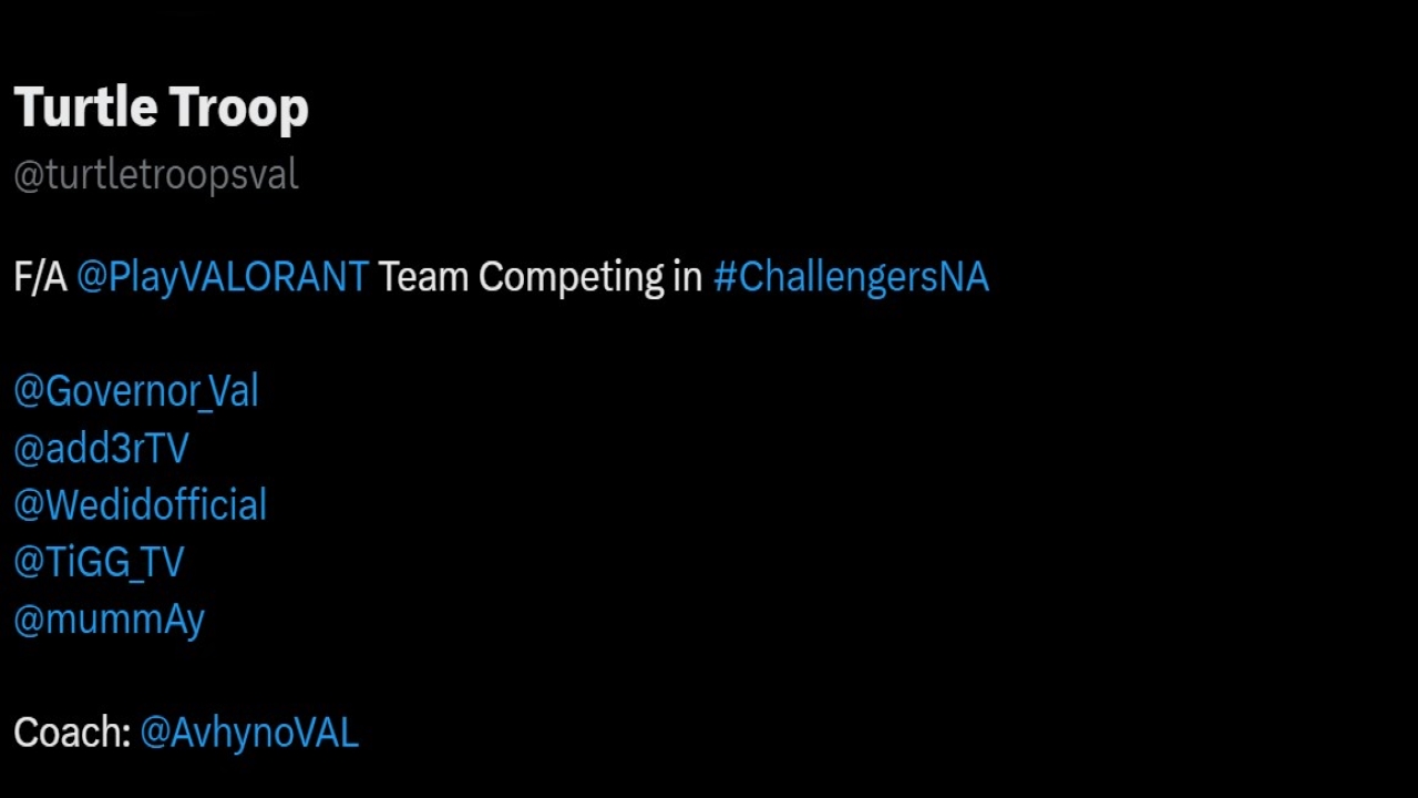 Valorant News: Org-less Team Turtle Troop Bring in TiGG and mummaAy for VCT 2023!