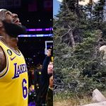 LeBron James Sends Subliminal Messages About His All-Time NBA Status With Cryptic Video of Huge "Mountain Animal"