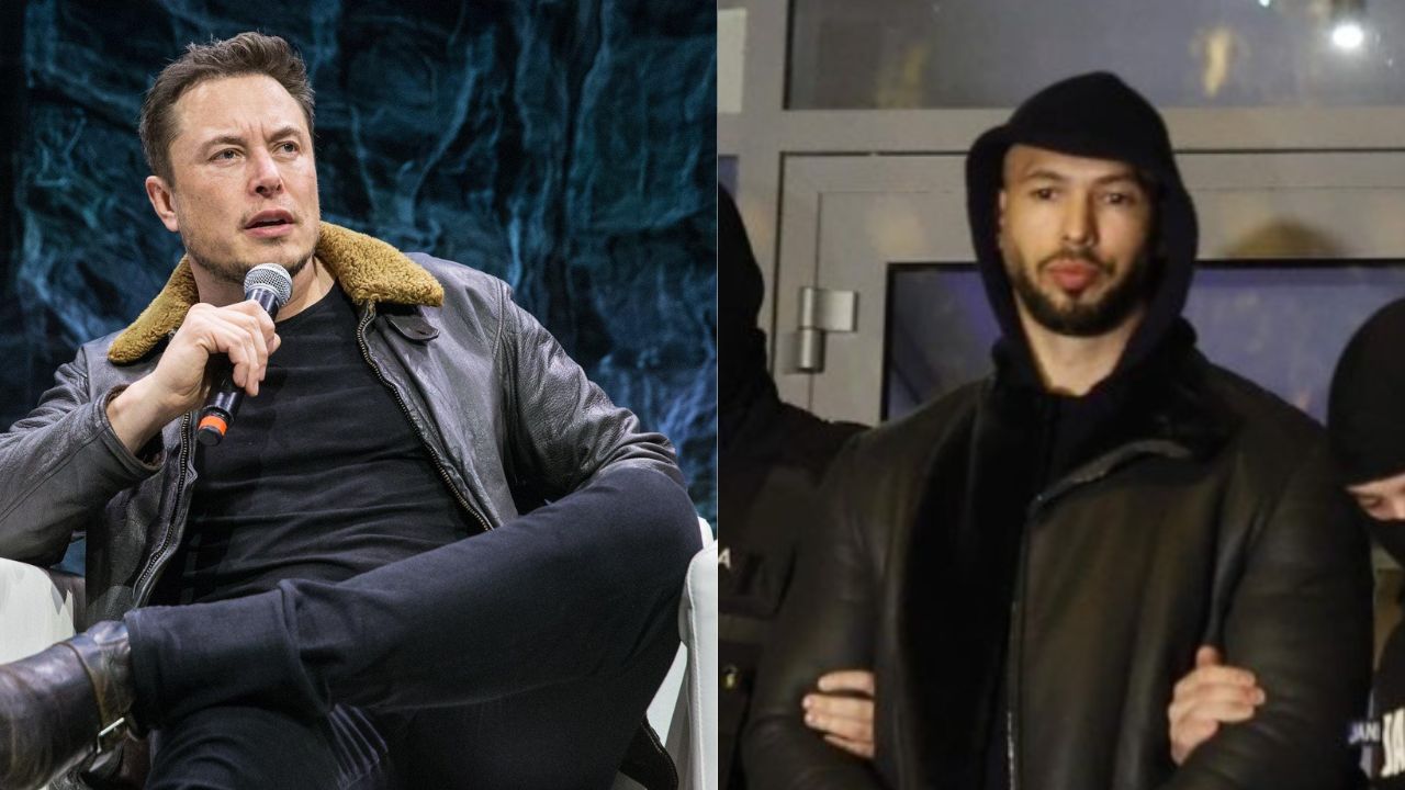 Elon Musk Andrew Tate