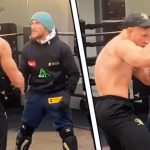 Conor Mcgregor Merab Dvalishvili