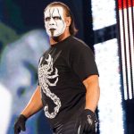 Sting in WWE