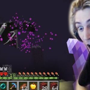 xqc minecraft