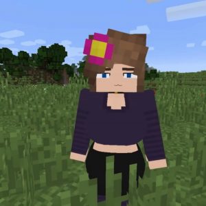 How to Download the Jenny Mod in Minecraft 2023(1.12 Update Only)!
