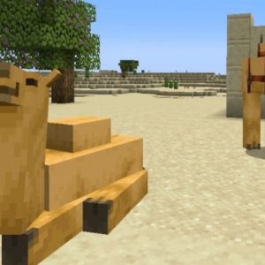 Camel Mob in Minecraft 1.20: Everything You Need to Know about the Mob!