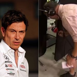 Ted Kravitz Takes Brutal Dig at Mercedes; Asks a Cockroach to Help the Silver Arrows Design a Good Car