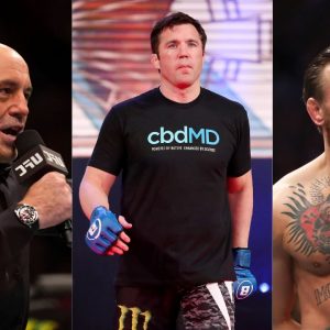 Joe Rogan Chael Sonnen