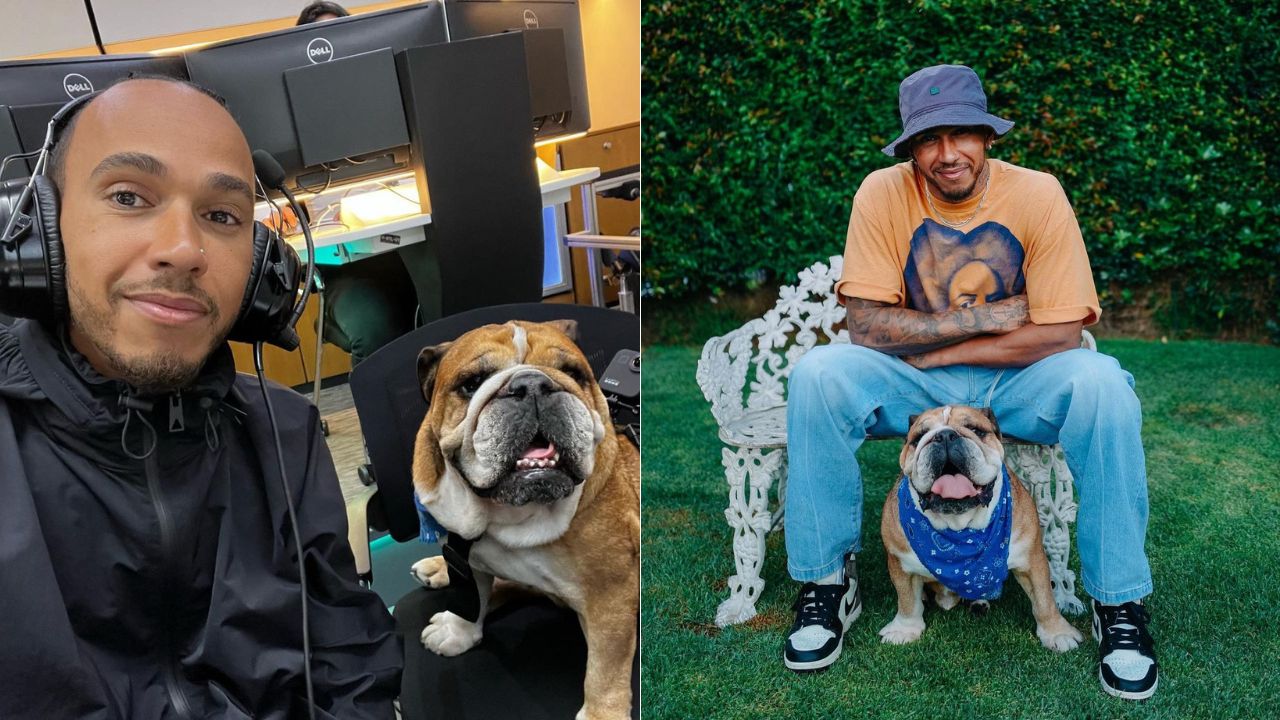 How 103 GP Winner Lewis Hamilton Proved He Could Take Care of His “Son” Roscoe?