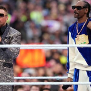 WrestleMania 39 fan Attendance