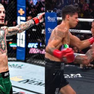 Sean O'Malley Ryan Garcia Gervonta Davis