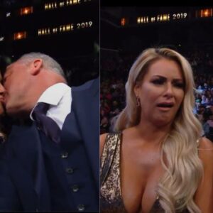 The Miz Shane McMahon Hall of Fame