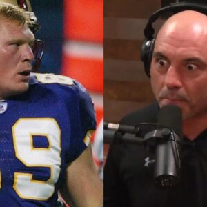 Joe Rogan Brock Lesnar