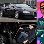 Tom Brady, Fernando Alonso