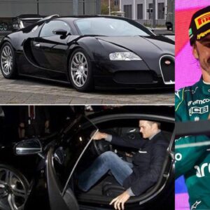 Tom Brady, Fernando Alonso