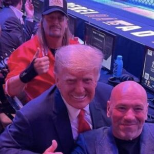 Donald Trump UFC 287