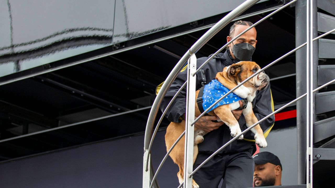 Lewis Hamilton Once Shocked the World by Claiming George Russell as His “Pet”