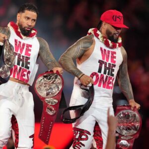 Longest WWE tag team