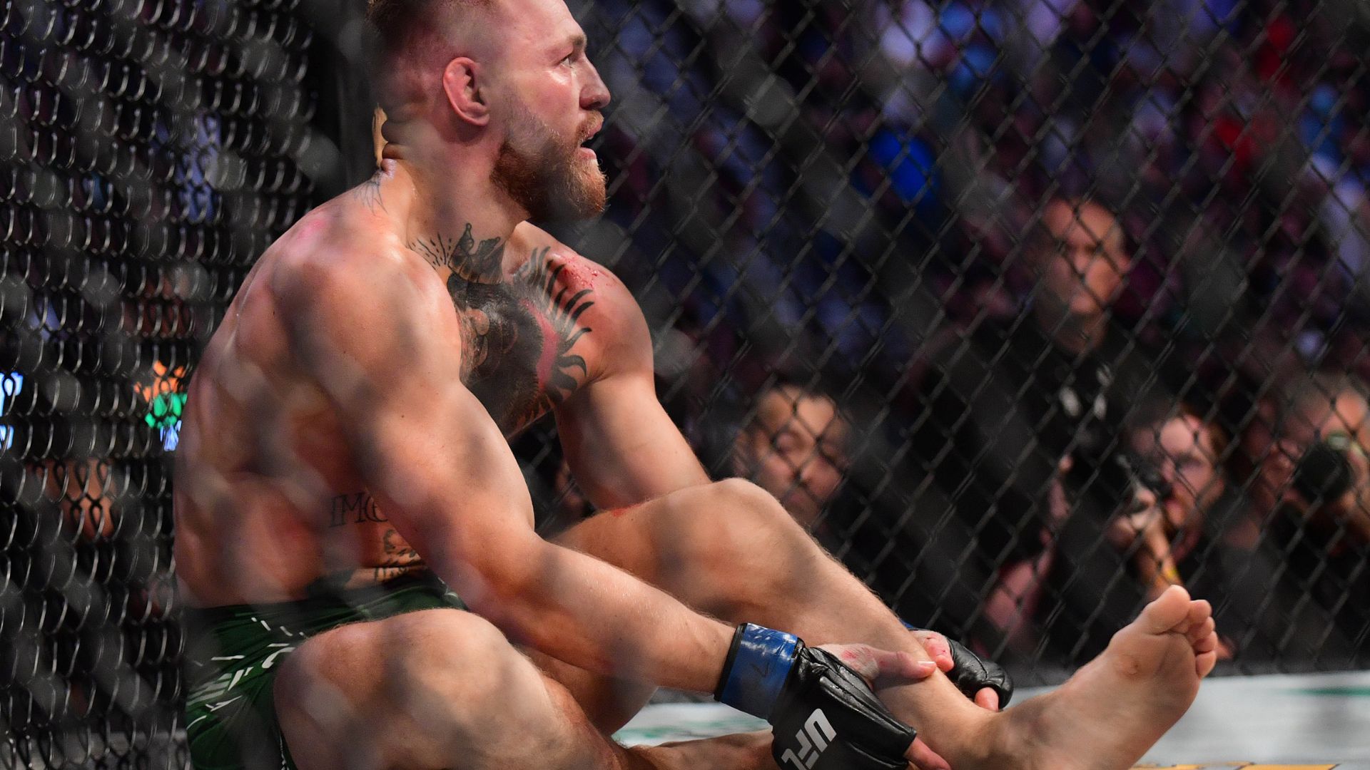 Has Conor McGregor Entered the USADA Testing Pool: What Did the UFC Star Say About His Return?