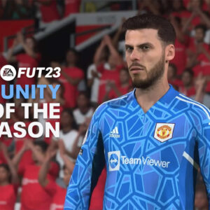 FIFA 23 Community TOTS