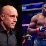 Joe Rogan, Francis Ngannou