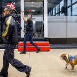 Lewis Hamilton Shares An Adorable Picture From Roscoe's Account: "Sundays Withs Dads"