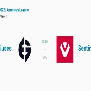 Valorant Americas Showdown: Evil Genuises vs Sentinels; Where to Watch, Points Table and More!