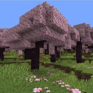 Best Cherry Grove Biome Seeds for Minecraft 1.20 Update