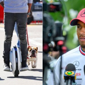 Lewis Hamilton Reminisces the Tragic Death of Roscoe’s Partner in Crime Coco