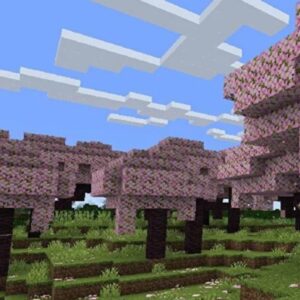 Best Places to Visit in Minecraft Update 1.20