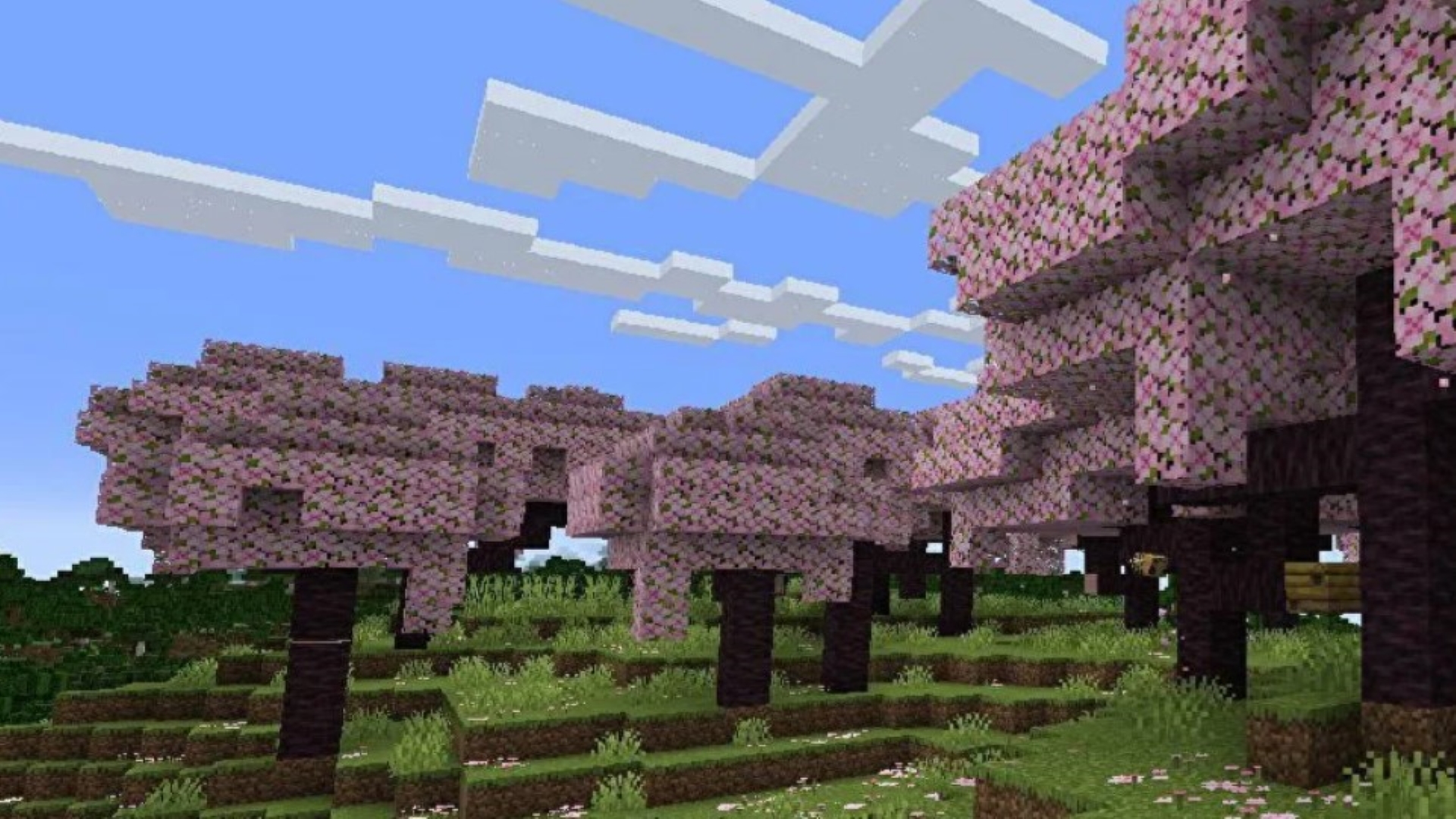 Best Places to Visit in Minecraft Update 1.20