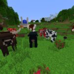 The Best Modpacks You Can Download in Minecraft