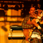 Lewis Hamilton Once Again Targeted by PETA as F1 Vegan Dog Dad Gets Bombarded at New York