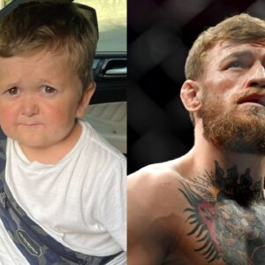 Hasbulla, Conor McGregor