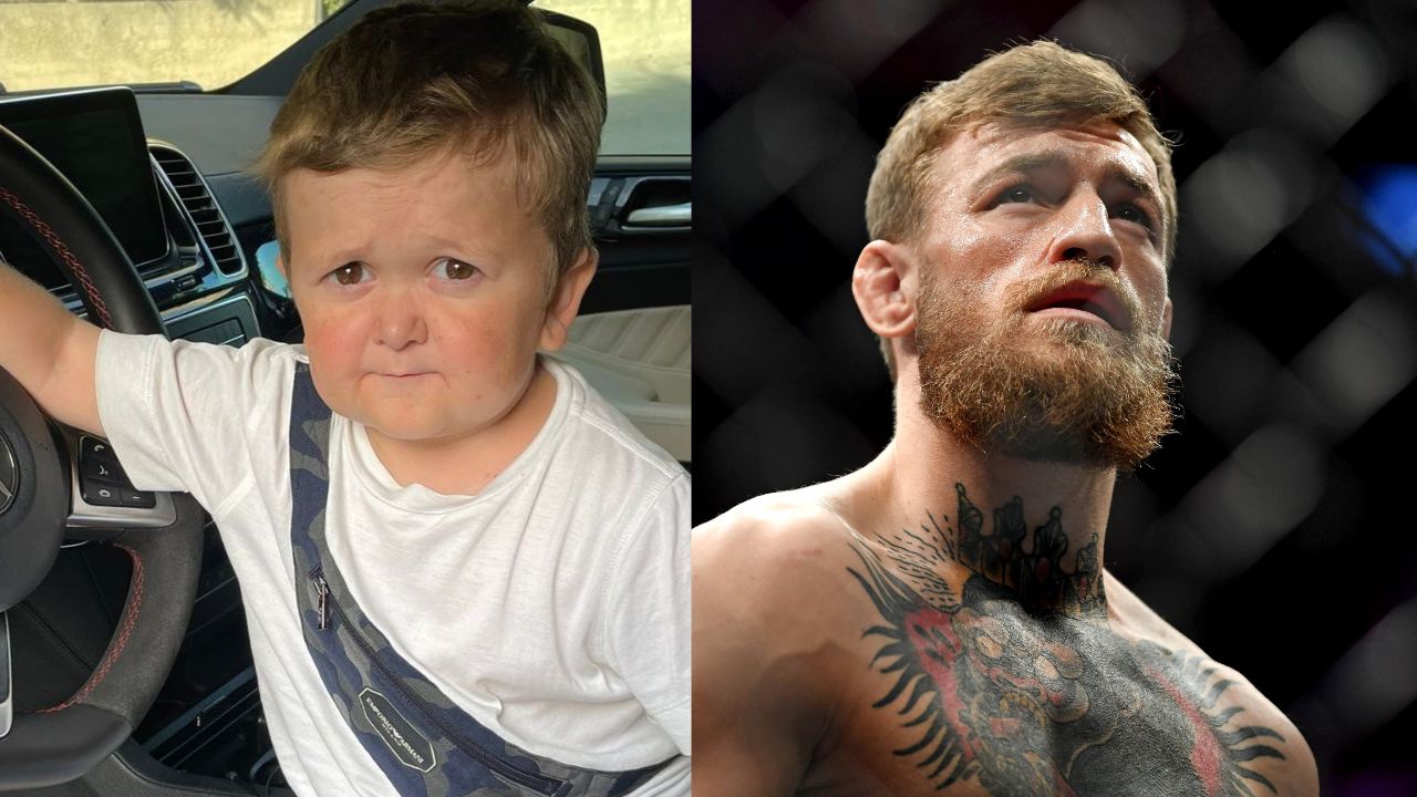 Hasbulla, Conor McGregor